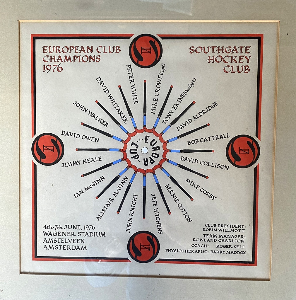 A central circle of hockey sticks and red hockey balls within a red border.